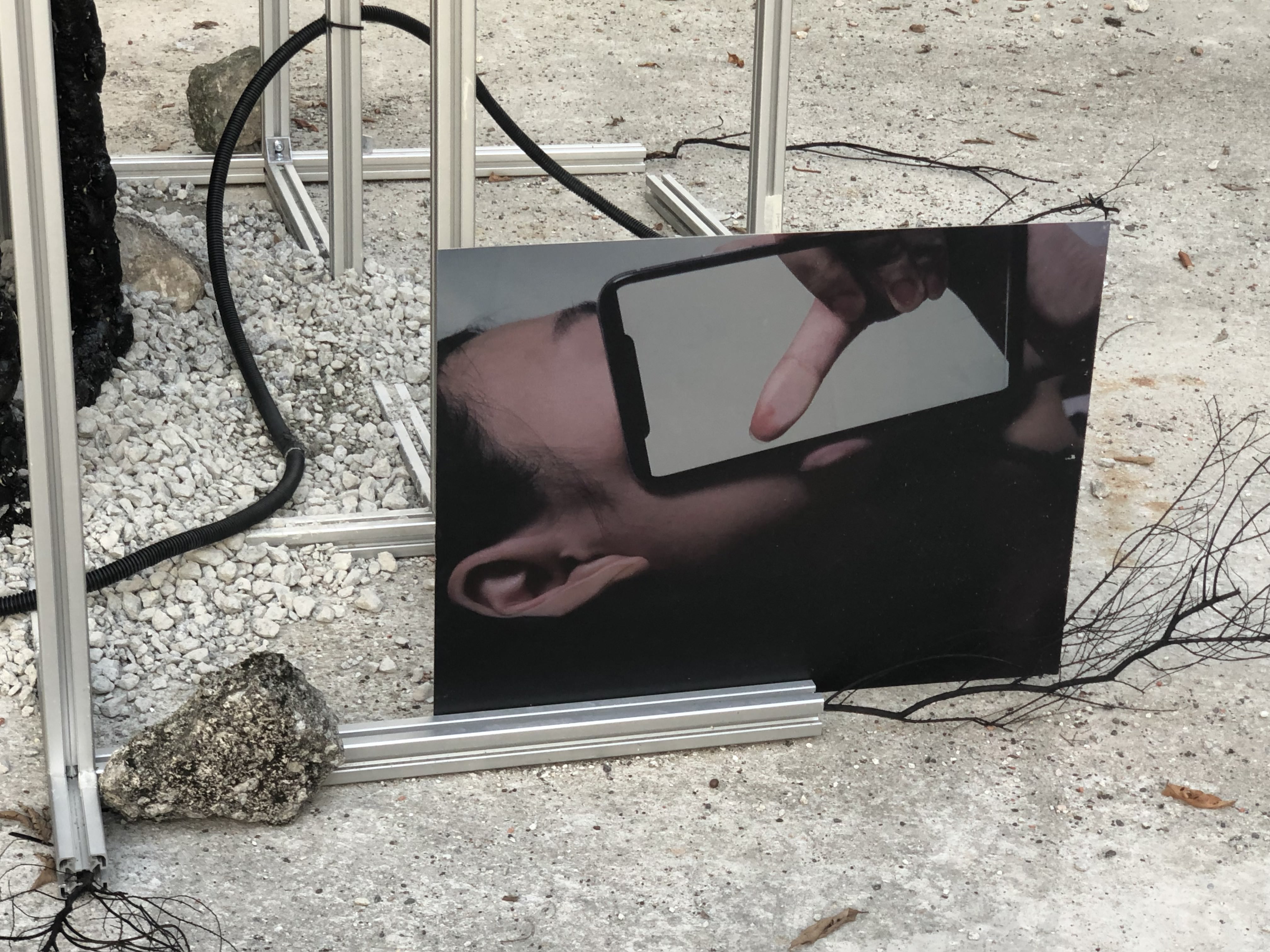 birthofthescreen_02.jpg